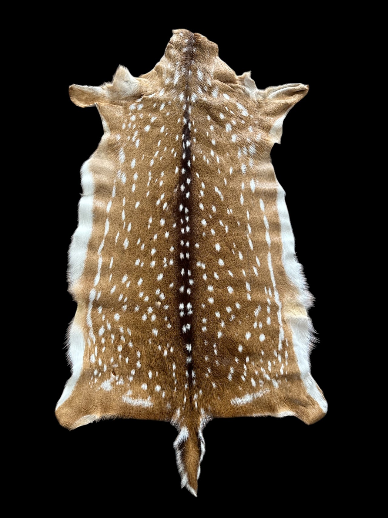 Maui Axis Deer Hide - Small Doe