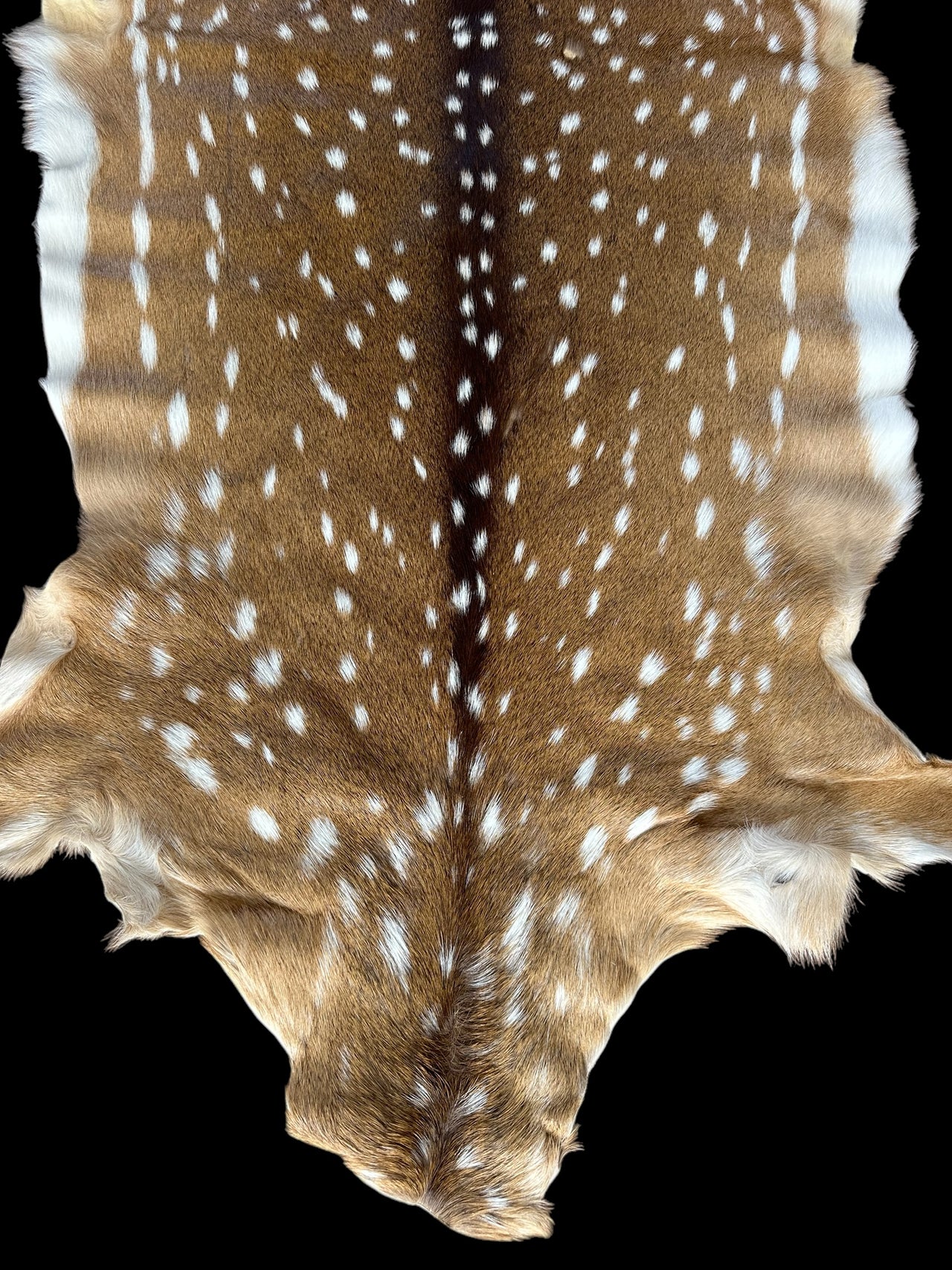 Maui Axis Deer Hide - Small Doe