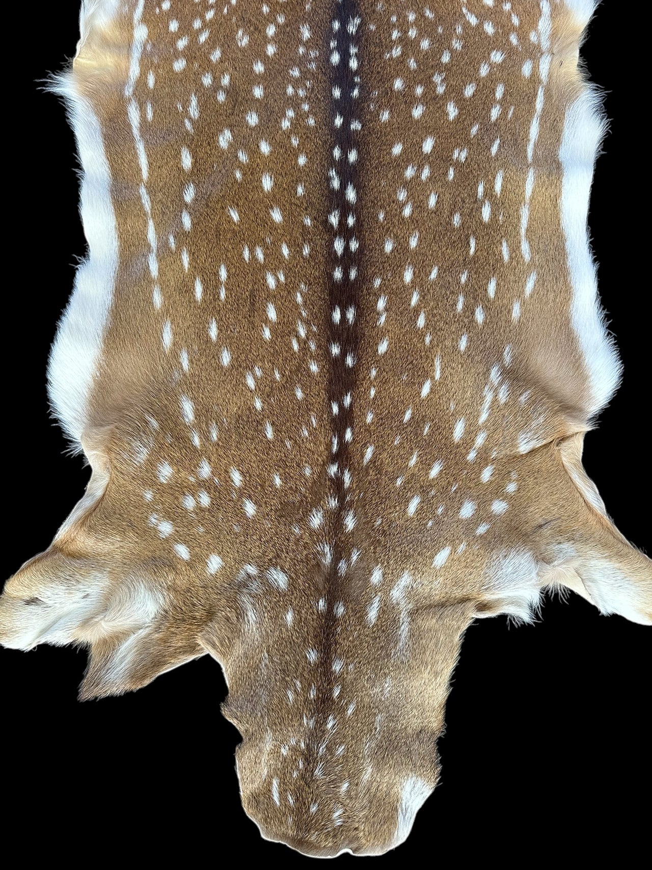 Maui Axis Deer Hide - Small Doe